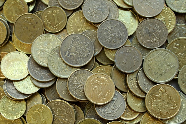 cizí mince
